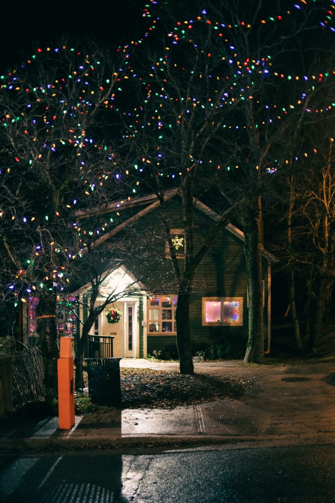 At nighttime, a bare tree covered in colourful Christmas lights stands in front of a house with green siding. The house has Christmas lights in the windows and a wreath hanging on the front door.