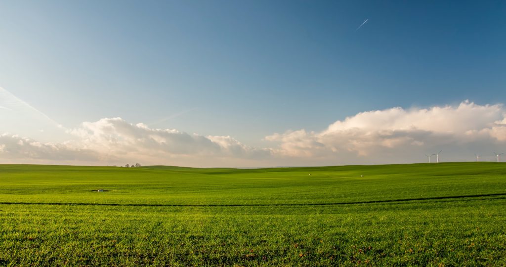 A green field stretches out to the horizon. The sky is blue. In the distance, wind turbines stand out against puffy white clouds