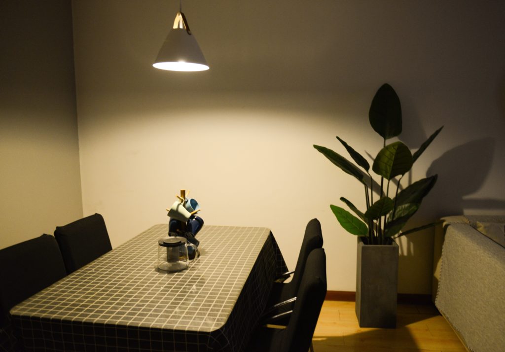An overhead light shines over a dining table with a grey table cloth and black chairs. In the right corner is a tall houseplant.