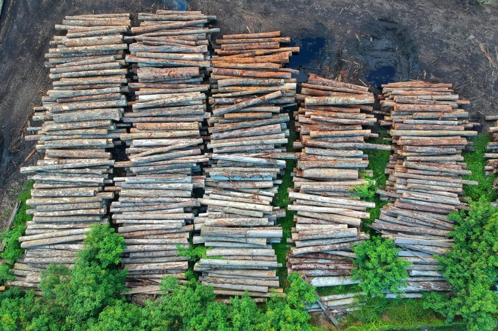 Rows of logs rest on the ground. Part of the ground is green with tree cover, and the rest is bare where trees have been cut down.