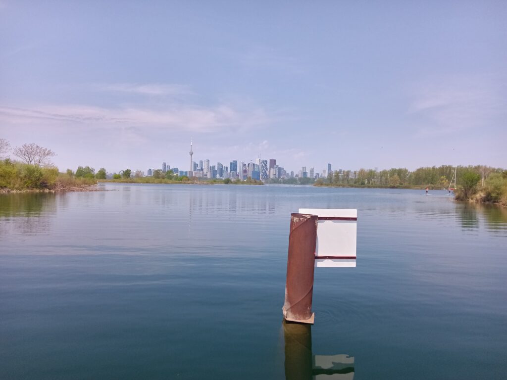 A red-brown post sticks out of the water with trees and the Toronto skyline in the background.