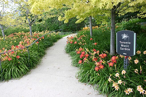 A concrete path runs between beds of red and pale yellow lilies with a sign that reads, "Toronto Music Garden."